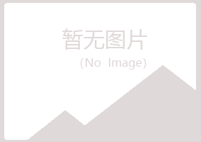 广安晓夏采矿有限公司